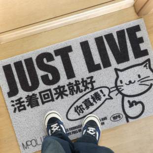 艺术鸭 创意家用丝圈入户地垫蹭土脚垫耐脏耐磨活着回来就好W