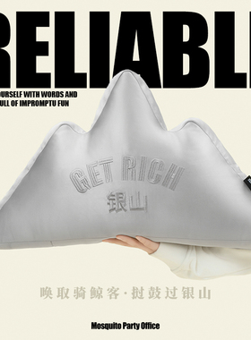 艺术鸭 抱枕沙发客厅靠垫家用轻奢高级感刺绣靠背靠枕「银山」W