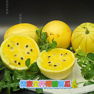 花仙子传家宝柠檬糖西瓜种籽水果种子黄皮黄瓤酥脆甜黄色小西瓜