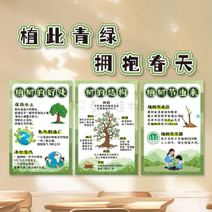 班级文化布置植树节主题环创教室小学幼儿园班级黑板报装饰墙贴