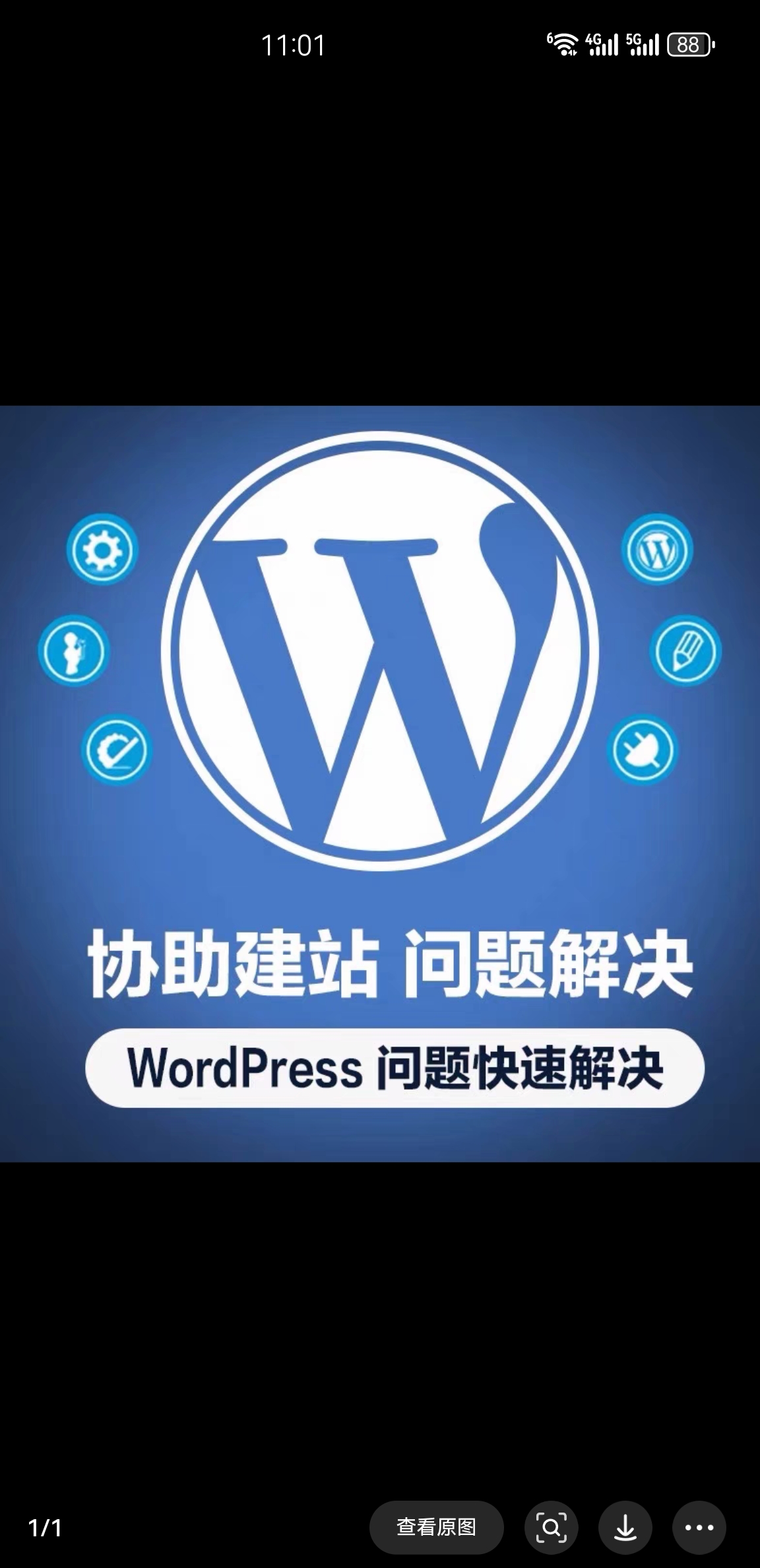 wordpress主题开发定制