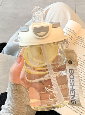 简约水杯女生高颜值夏季带吸管双饮杯女新款2025便携学生随手杯子