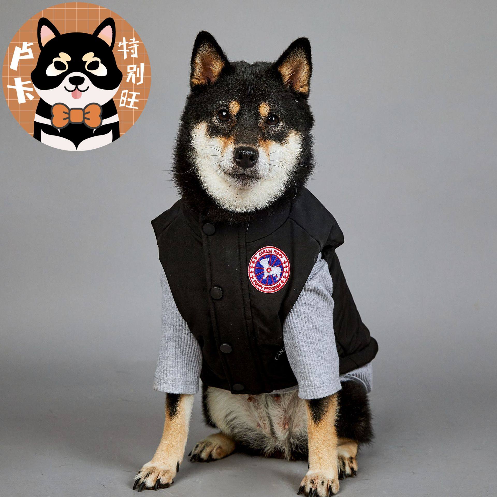 卢卡家 秋冬款潮牌防雨防风狗狗大型犬冬季保暖宠物背心马甲棉服,宠物/宠物食品及用品,狗宠物服装/雨衣,淘宝优惠券,粉丝福利购,淘宝优惠卷