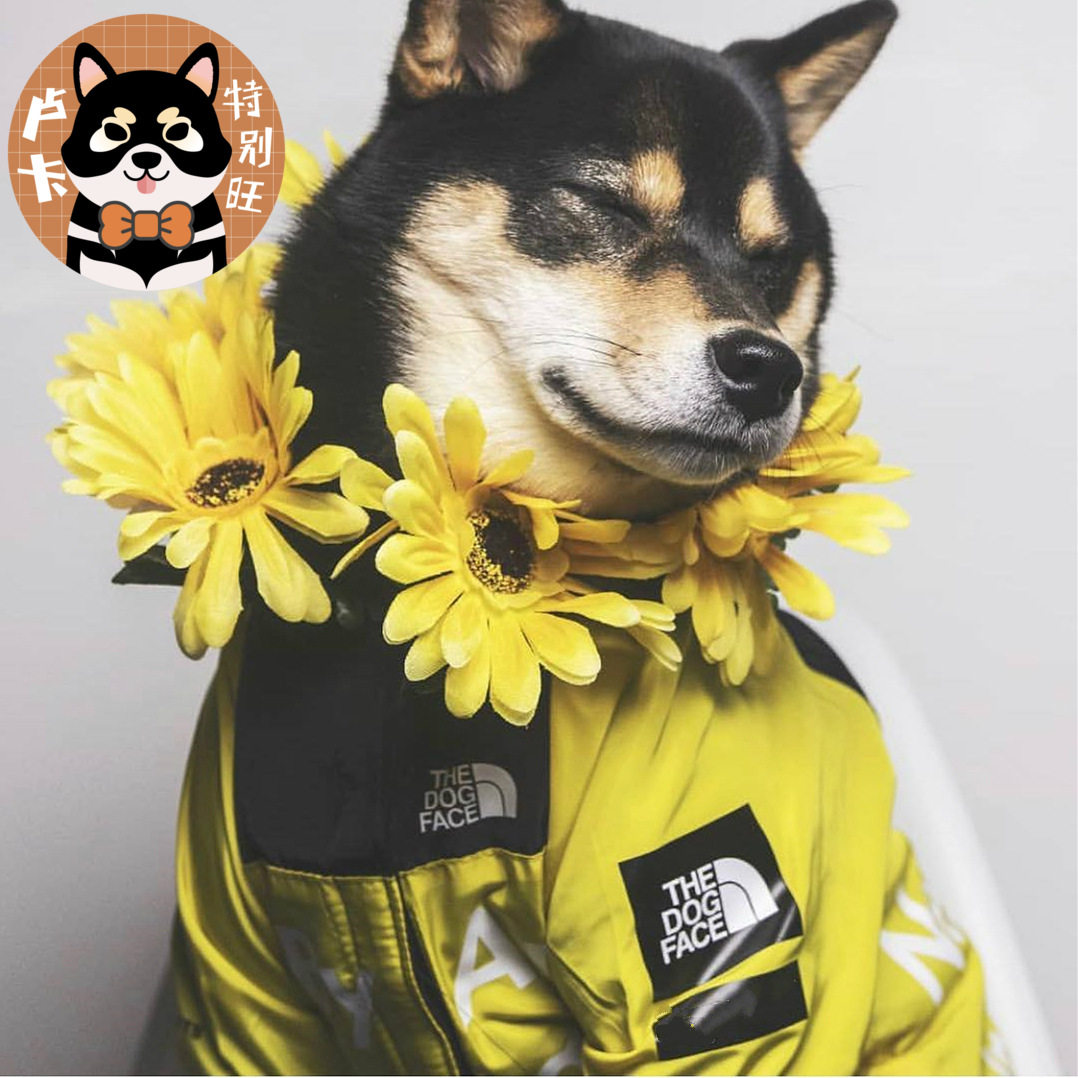 卢卡包邮柴犬宠物潮牌狗狗雨衣
