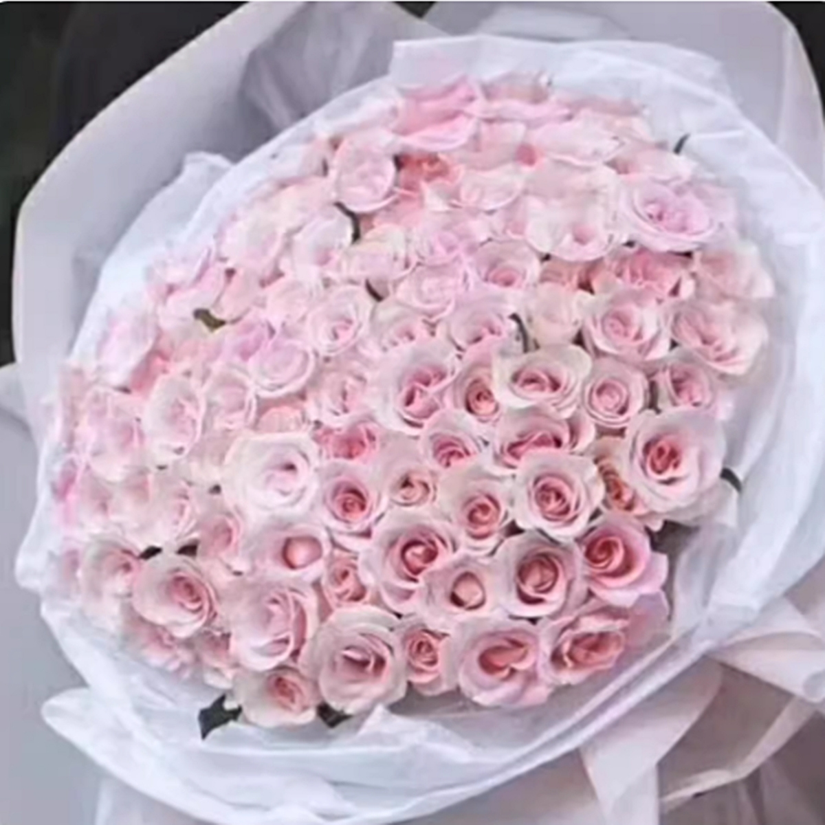 同城鲜花速递台湾花店台北台中夢幻求婚情人節婦女節99朵玫瑰花束