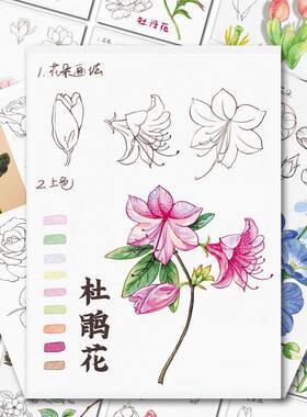 加大】水彩花卉画法贴纸新手学画画水彩植物灵感素材临摹上色技法