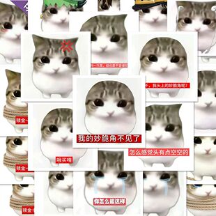 216张妙脆角小猫贴纸被生活磨灭了妙脆搞笑表情包可爱猫meme创意
