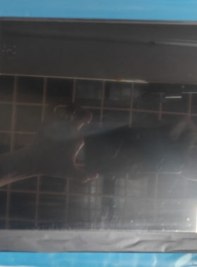 龙腾R140NWF5 R6触摸屏幕IVO057D  FRU:00NY686 P/N:SD10M68000屏