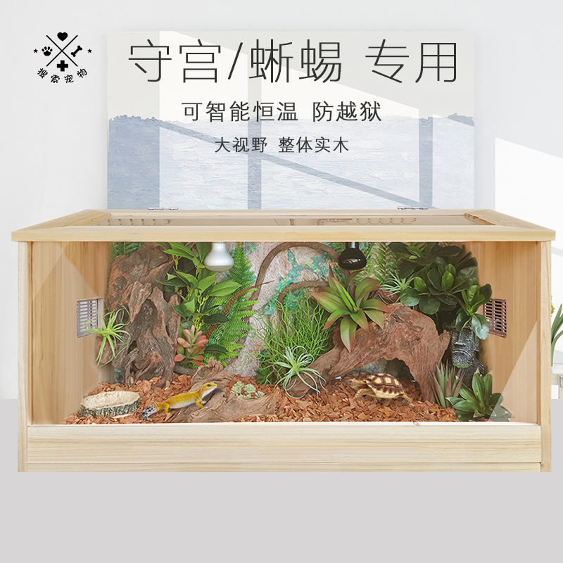 爬宠饲养箱蜴鬃狮蜥豹纹守宫蜥蜴