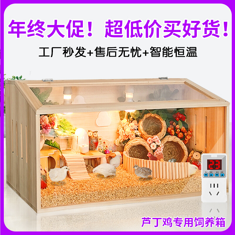 芦丁鸡饲养箱卢丁鸡冬季育雏箱幼鸡保温箱小鸡笼子幼鸡专用恒温箱