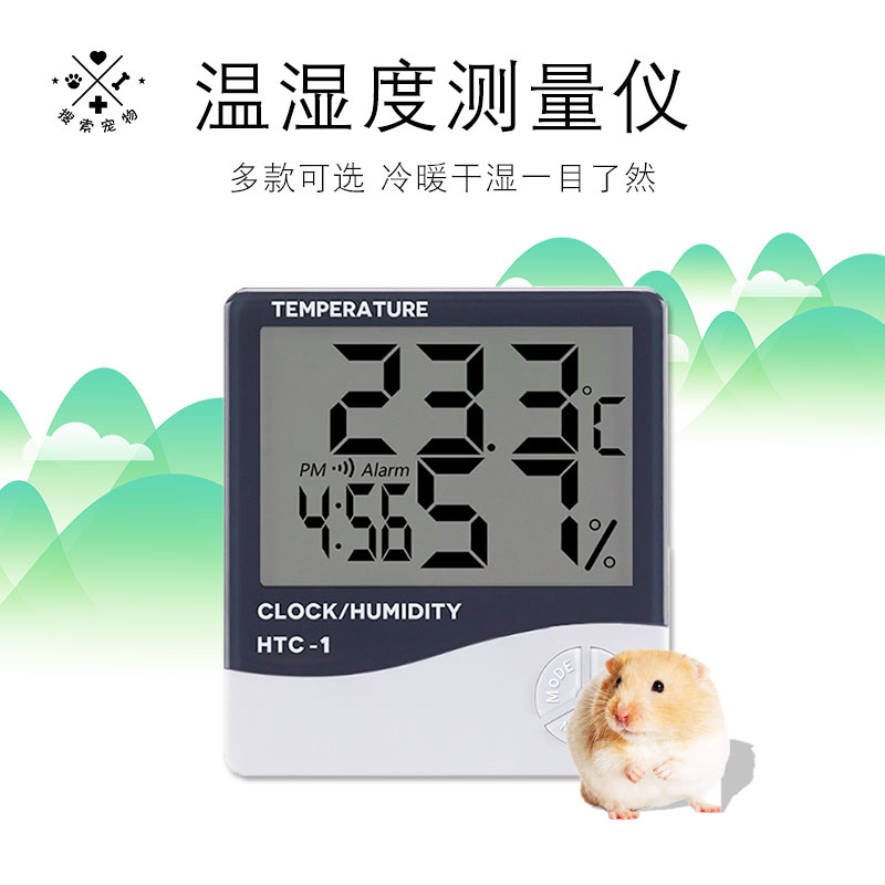 爬宠数码高精度陆龟蜥蜴变色龙