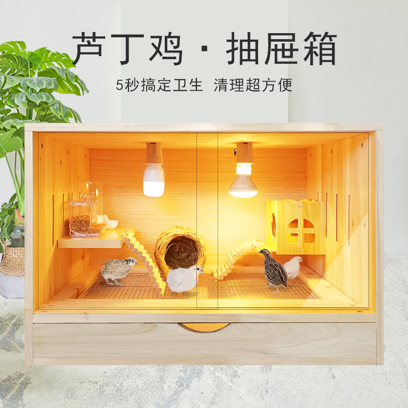 芦丁鸡四季饲养箱抽屉式小鸡笼子