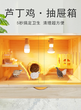 芦丁鸡饲养箱小鸡造景专用笼子鸡窝卢丁鸡恒温箱育实木幼鸡保温箱