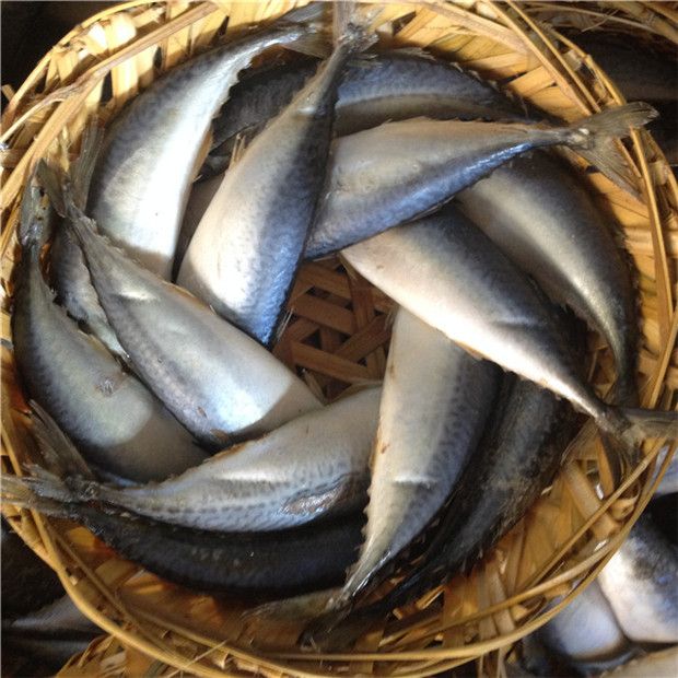 潮汕特产鱼饭新鲜花娇鱼花仙鱼500g 鱼类水产品熟鱼花仙鱼 大条肥