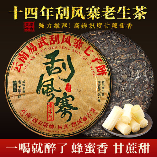 刮风寨老生茶饱满的甘蔗香甜