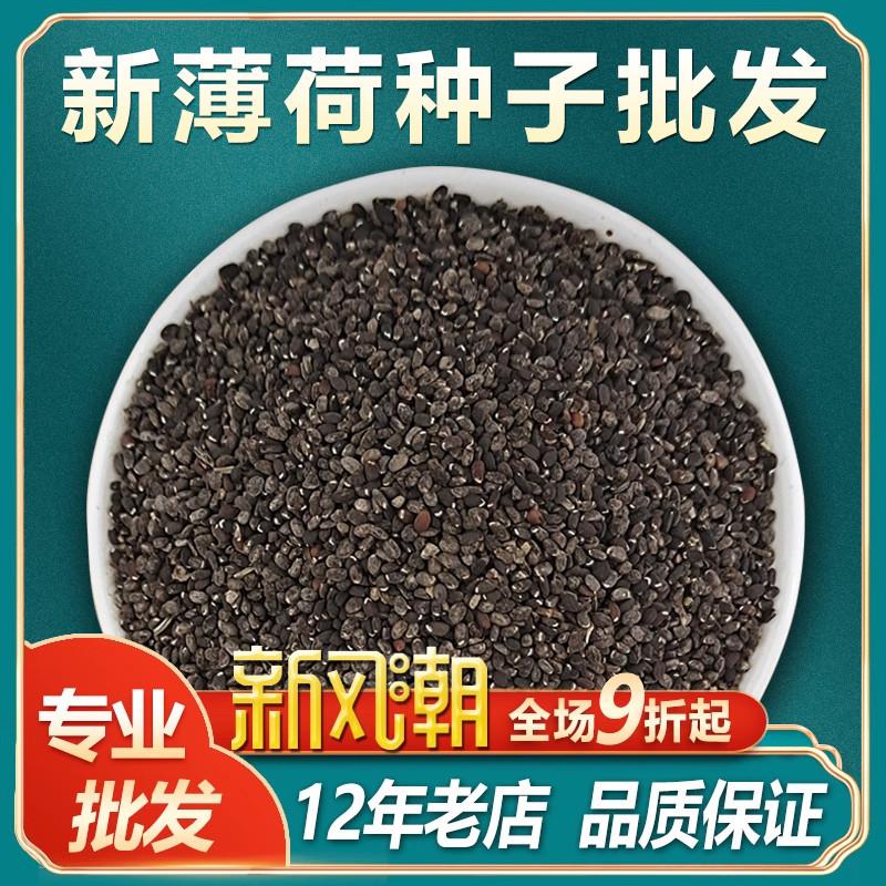 可食用薄荷种子盆栽四季驱蚊易活室内室外种子孑植物花卉花籽香草