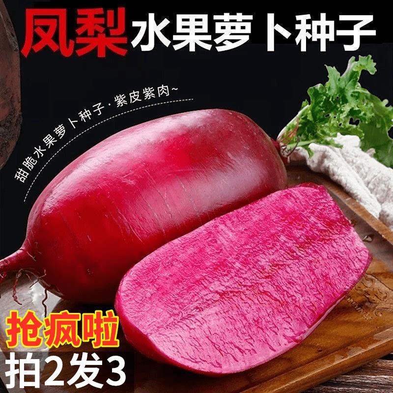 (拍2发3)凤梨萝卜种子甜脆水果红皮红心萝卜大全阳台盆栽蔬菜籽