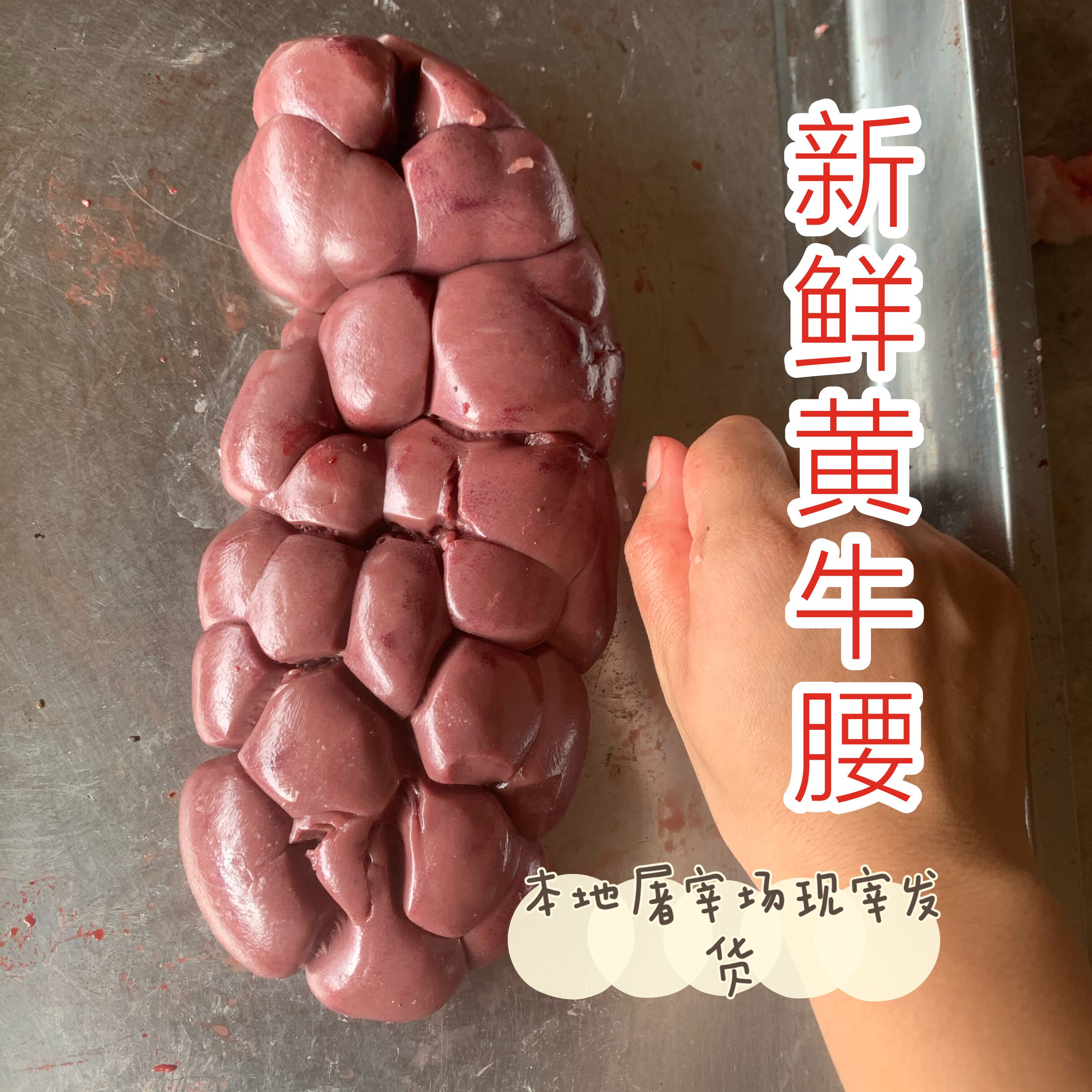 黄牛腰子新鲜国产包邮火锅烧烤