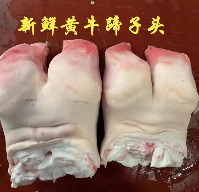 新鲜黄牛蹄尖牛爪子牛掌子牛肉新鲜速冻牛脚生牛短蹄子整只