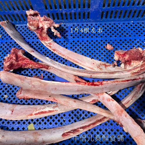 包邮10斤牛骨磨牙硬骨头牛肋骨牛杂牛下水牛肋排牛肋骨