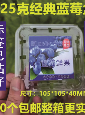 125g克一次性加厚透明蓝莓盒子包装盒透气pet塑料水果树莓枸杞盒