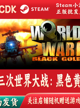 第三次世界大战：黑色黄金正版Steam游戏CDKey激活码自动发货