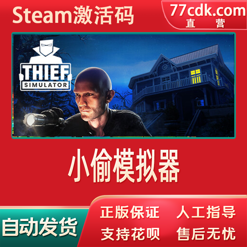 小偷模拟器正版国区全球区cdkey激活码Thief Simulator