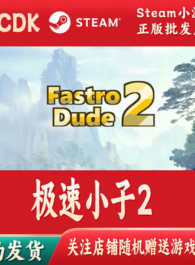 极速小子2正版Steam游戏激活码CDKey激活码自动发货