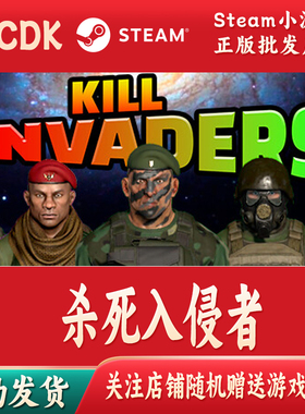 杀死入侵者正版Steam游戏CDKey激活码自动发货Kill Invaders