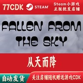 Steam游戏CDKey激活码 自动发货Fallen from 从天而降正版 the sky
