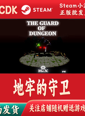 地牢的守卫正版Steam游戏CDKey激活码自动发货The guard of dunge