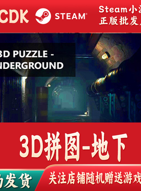 3D拼图-地下正版Steam游戏CDKey激活码自动发货PUZZLEUnderground