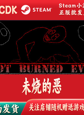 未烧的恶正版Steam游戏CDKey激活码自动发货Not Burned Evil