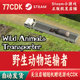 自动发货Wild 野生动物运输者正版 Steam游戏CDKey激活码 Animals