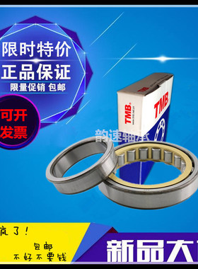 TMB天马滚柱轴承NJ304EM 305 306 307 308 309 310 311NUP NF RN
