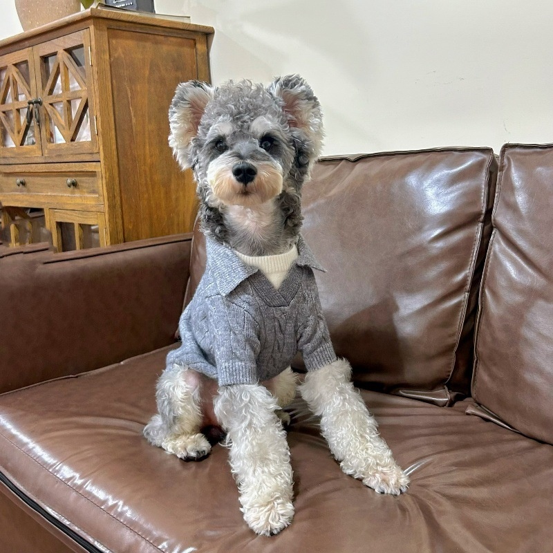 秋冬新款宠物针织假两件保暖毛衣狗狗猫咪雪耐瑞比熊博美潮牌衣服