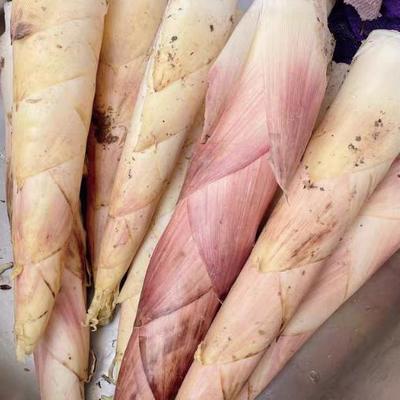 现挖临安黄泥鲜笋野生自然