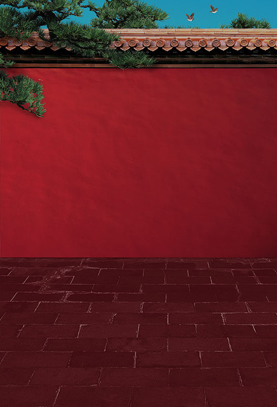 红墙皇宫墙油画背景帆布摄影背景布影楼民国风拍摄无缝背景fu-487