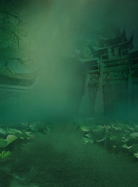 婚纱主题盘子摄影棚影楼加厚绿色帆布背景布荷花古装PZ-063绮罗香