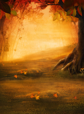 影楼儿童主题背景拍照无缝布摄影写真布纸摄影棚PP纸S-2274森林