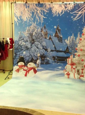 摄影艺术布圣诞拍照背景帆布雪景儿童影楼无缝写真布PP纸CM-6411