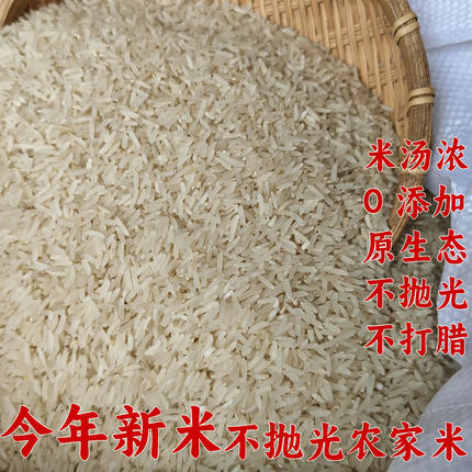 2025年新米井冈山农家自种大米不抛光长粒香胚芽米乡下晚米10斤
