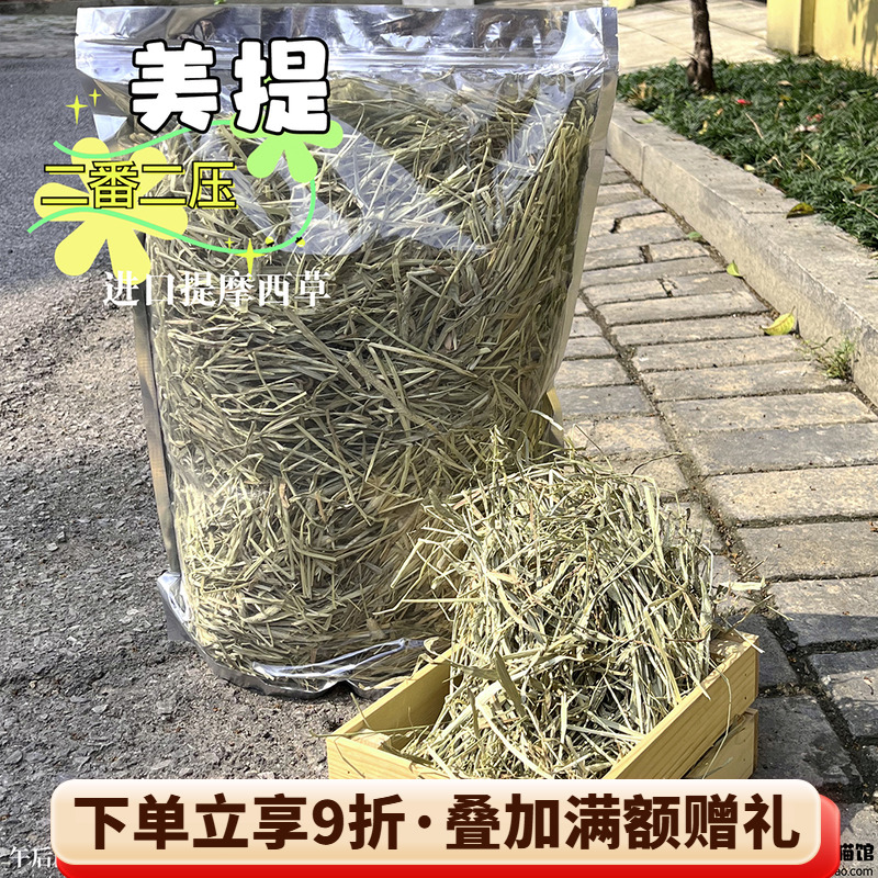 进口美提二番提摩西龙猫兔子磨牙