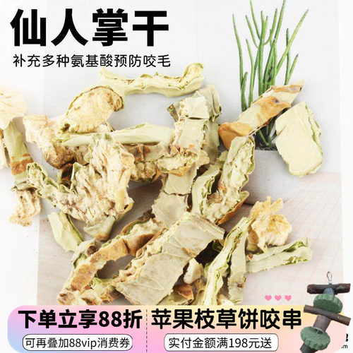 龙猫仙人掌干补充多种氨基^微量元素酸辅助治疗咬毛恢复毛发健康