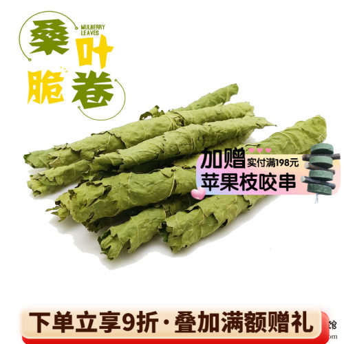 2件包邮 龙猫兔子桑叶卷桑叶片小宠零食草防上火蛋白补充营养*50g