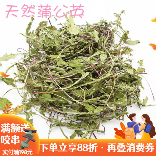 龙猫兔子蒲公英干草补钙清火
