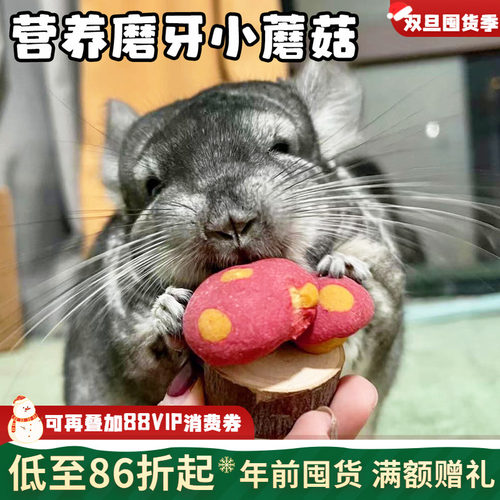 赫尔达苹果木小蘑菇造型磨牙零食 龙猫兔子仓鼠*独立包装1个