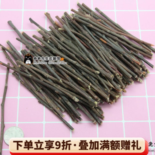 特细100克 磨牙苹果枝 健康果木龙猫兔子天天零食 会员