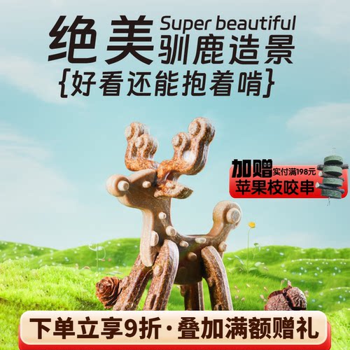 龙猫健康磨牙棒高硬度耐啃