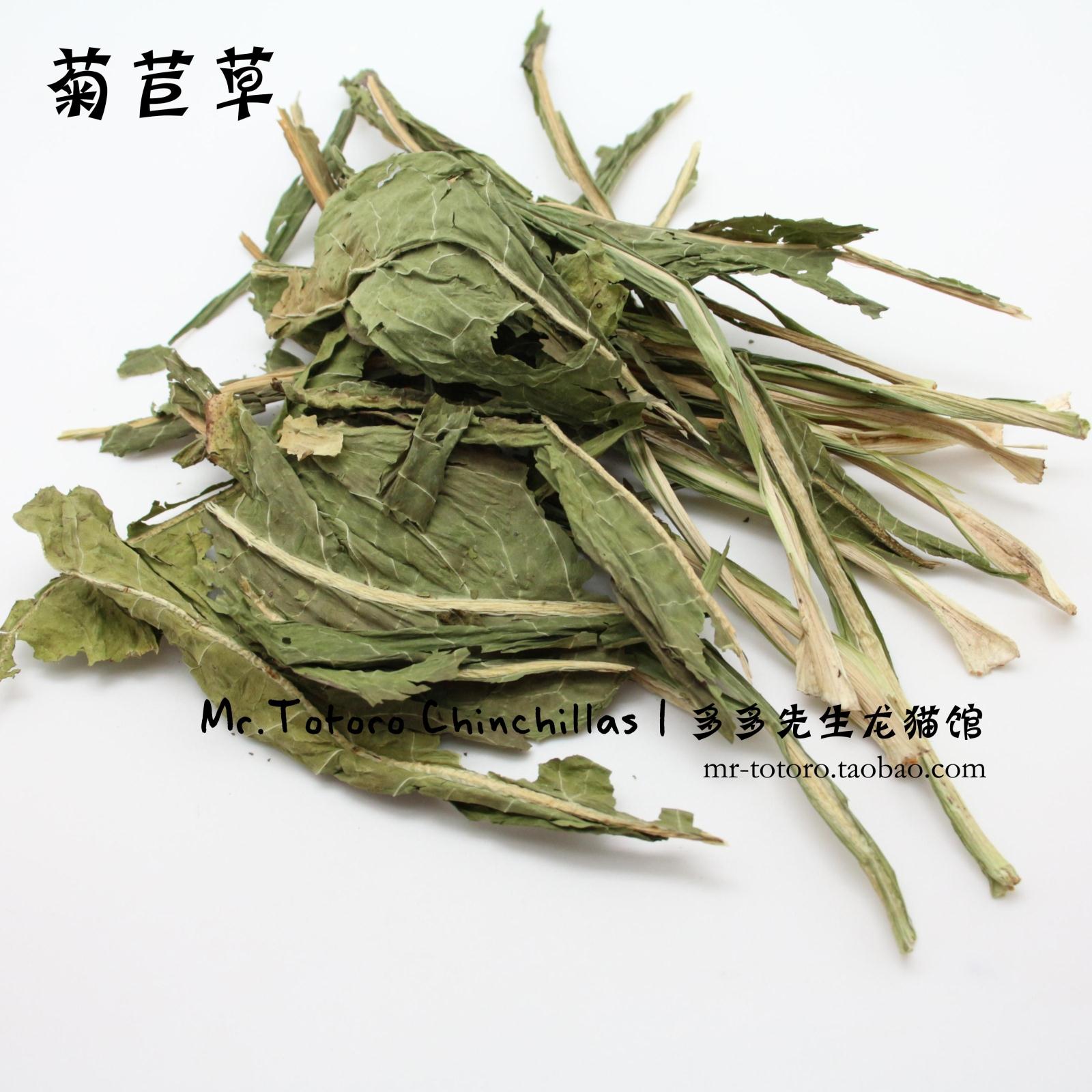 會員有折扣 多多先生龍貓 進口菊苣牧草兔子龍貓零食荷蘭豬牧草